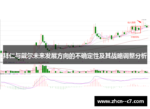 拜仁与戴尔未来发展方向的不确定性及其战略调整分析 拜仁与戴尔未来发展方向的不确定性及其战略调整分析