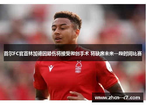 首尔FC官宣林加德因膝伤将接受微创手术 将缺席未来一段时间比赛 首尔FC官宣林加德因膝伤将接受微创手术 将缺席未来一段时间比赛